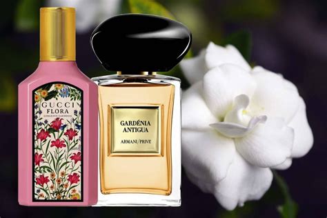 viora gardenia perfume.